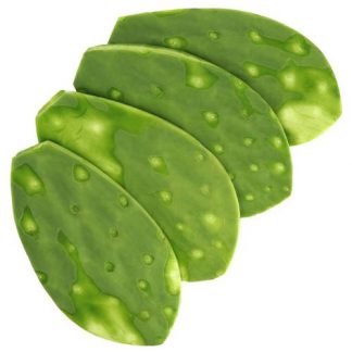 Nopal